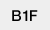 B1F